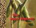 Cover art for THE SUPER SOYBEAN