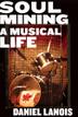 Cover art for SOUL MINING