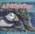 Cover art for A PUFFIN’S YEAR
