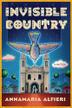 Cover art for INVISIBLE COUNTRY