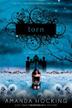 Cover art for TORN