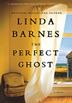 Cover art for THE PERFECT GHOST