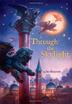 Cover art for THROUGH THE SKYLIGHT
