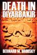 Cover art for DEATH IN DIYARBAKIR