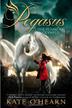 Cover art for THE FLAME OF OLYMPUS