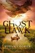 Cover art for GHOST HAWK