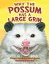Cover art for WHY THE POSSUM HAS A LARGE GRIN