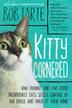 Cover art for KITTY CORNERED