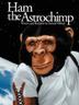 Cover art for HAM THE ASTROCHIMP