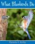 Cover art for WHAT BLUEBIRDS DO