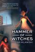 Cover art for HAMMER OF WITCHES