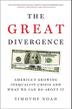 Cover art for THE GREAT DIVERGENCE