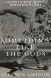 Cover art for SOMETHING LIKE THE GODS