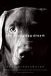 Cover art for THE WRONG DOG DREAM