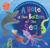 Cover art for A HOLE IN THE BOTTOM OF THE SEA