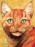 Cover art for I AM CAT