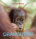 Cover art for ORANGUTAN