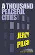 Cover art for A THOUSAND PEACEFUL CITIES