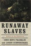 Cover art for RUNAWAY SLAVES