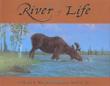 Cover art for RIVER OF LIFE