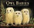 Cover art for OWL BABIES