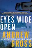 Cover art for EYES WIDE OPEN