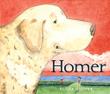 Cover art for HOMER