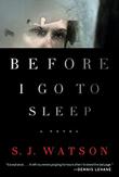 Cover art for BEFORE I GO TO SLEEP