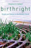 Cover art for BIRTHRIGHT