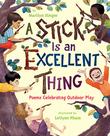 Cover art for A STICK IS AN EXCELLENT THING