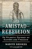 Cover art for THE AMISTAD REBELLION