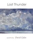 Cover art for LOST THUNDER