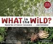 Cover art for WHAT IN THE WILD?