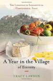 Cover art for A YEAR IN THE VILLAGE OF ETERNITY