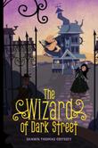 Cover art for THE WIZARD OF DARK STREET