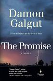 THE PROMISE