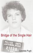 Cover art for BRIDGE OF THE SINGLE HAIR