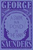 A SWIM IN A POND IN THE RAIN