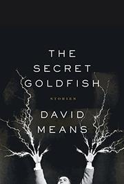 Cover art for THE SECRET GOLDFISH