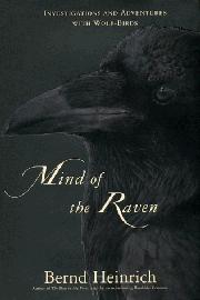 Cover art for THE MIND OF A RAVEN