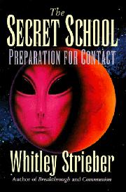 Cover art for THE SECRET SCHOOL