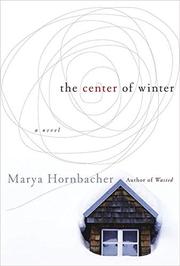 Book Cover for THE CENTER OF WINTER