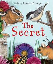 Book Cover for THE SECRET
