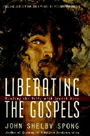 Book Cover for LIBERATING THE GOSPELS