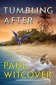 Cover art for TUMBLING AFTER