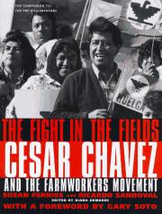 Book Cover for THE FIGHT IN THE FIELDS