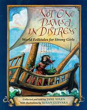 Cover art for NOT ONE DAMSEL IN DISTRESS