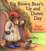Cover art for BIG BROWN BEAR’S UP AND DOWN DAY