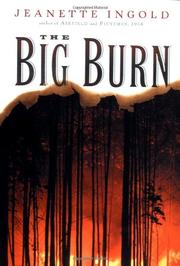 Cover art for THE BIG BURN