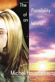 Book Cover for THE POSSIBILITY OF AN ISLAND